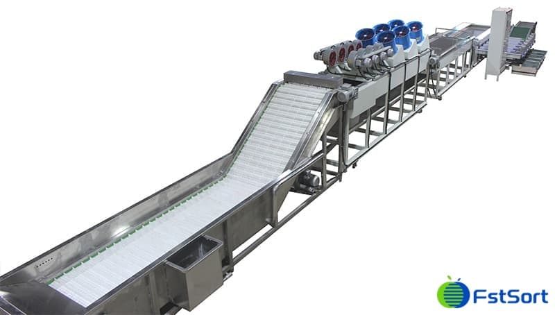 خط تنظيف وفرز وتعبئة التمور.jpg